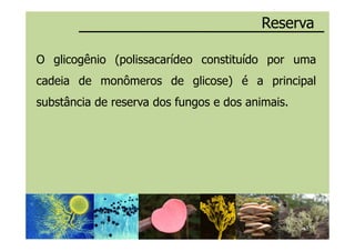 ReservaReserva
O glicogênio (polissacarídeo constituído por uma
cadeia de monômeros de glicose) é a principal
substância de reserva dos fungos e dos animais.
 
