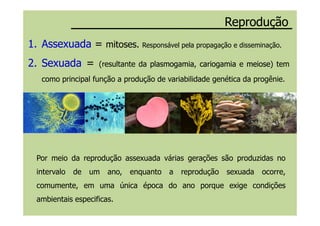 ReproduçãoReprodução
1.1. AssexuadaAssexuada == mitoses. Responsável pela propagação e disseminação.
2.2. SexuadaSexuada == (resultante da plasmogamiaplasmogamia, cariogamiacariogamia e meiosemeiose) tem
como principal função a produção de variabilidade genética da progênie.
Por meio da reprodução assexuada várias gerações são produzidas no
intervalo de um ano, enquanto a reprodução sexuada ocorre,
comumente, em uma única época do ano porque exige condições
ambientais especificas.
 