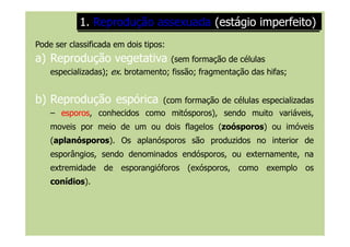 Pode ser classificada em dois tipos:
a)a) Reprodução vegetativaReprodução vegetativa (sem formação de células
especializadas); ex. brotamento; fissão; fragmentação das hifas;
b)b) ReproduçãoReprodução espóricaespórica (com formação de células especializadas
– esporosesporos, conhecidos como mitósporos), sendo muito variáveis,
moveis por meio de um ou dois flagelos (zoósporoszoósporos) ou imóveis
1.1. Reprodução assexuadaReprodução assexuada (estágio imperfeito)(estágio imperfeito)
moveis por meio de um ou dois flagelos (zoósporoszoósporos) ou imóveis
(aplanósporosaplanósporos). Os aplanósporos são produzidos no interior de
esporângios, sendo denominados endósporos, ou externamente, na
extremidade de esporangióforos (exósporos, como exemplo os
conídiosconídios).
 