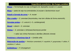 Importância econômica dos fungos conidiais
Shoyo = Fermentação da soja (Linhagens de Aspergillus oryzae e A. soyae);
Misso = pasta de soja rica aminoácidos (A.oryzae e Sacharomices rouxii
Saquê e Cerveja de arroz = A. oryzae
Pão e malte = S. cerevisae (Ascomicetos, mas tem células de forma anamorfa)
Cervejas pretas = S. uvarum (= S. carlsbergensis)
Álcool = etanol = S. cerevisaeÁlcool = etanol = S. cerevisae
Vinhos = S. cerevisae e Schizosaccharomyces pombe
= sabor aos vinhos franceses e alemães (Botrytis cinerea)
Proteínas e vitaminas tipo B = Candida utilis;
Maturação de queijos = Penicilium camemberti; P. roqueforti; P. gorgonzolae; P. stilton; P.
candidum; P. album;
Antibióticos = P. chrysogenum
 