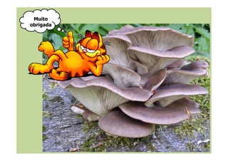 Muito
obrigada
 