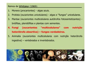Reinos de Whittaker (1969):
1. Monera (procariontes) - algas azuis.
2. Protista (eucariontes unicelulares) - algas e “fungos”fungos” unicelularesunicelulares.
3. Plantae (eucariontes multicelulares autótrofos fotossintetizantes) -
briófitas, pteridófitas e plantas com sementes.
4.4. FungiFungi (eucariontes(eucariontes “multicelulares”“multicelulares” comcom nutriçãonutrição
heterótrofaheterótrofa absortiva)absortiva) –– fungosfungos verdadeirosverdadeiros..heterótrofaheterótrofa absortiva)absortiva) –– fungosfungos verdadeirosverdadeiros..
5. Animalia (eucariontes multicelulares com nutrição heterótrofa
ingestiva) – vertebrados e invertebrados.
 