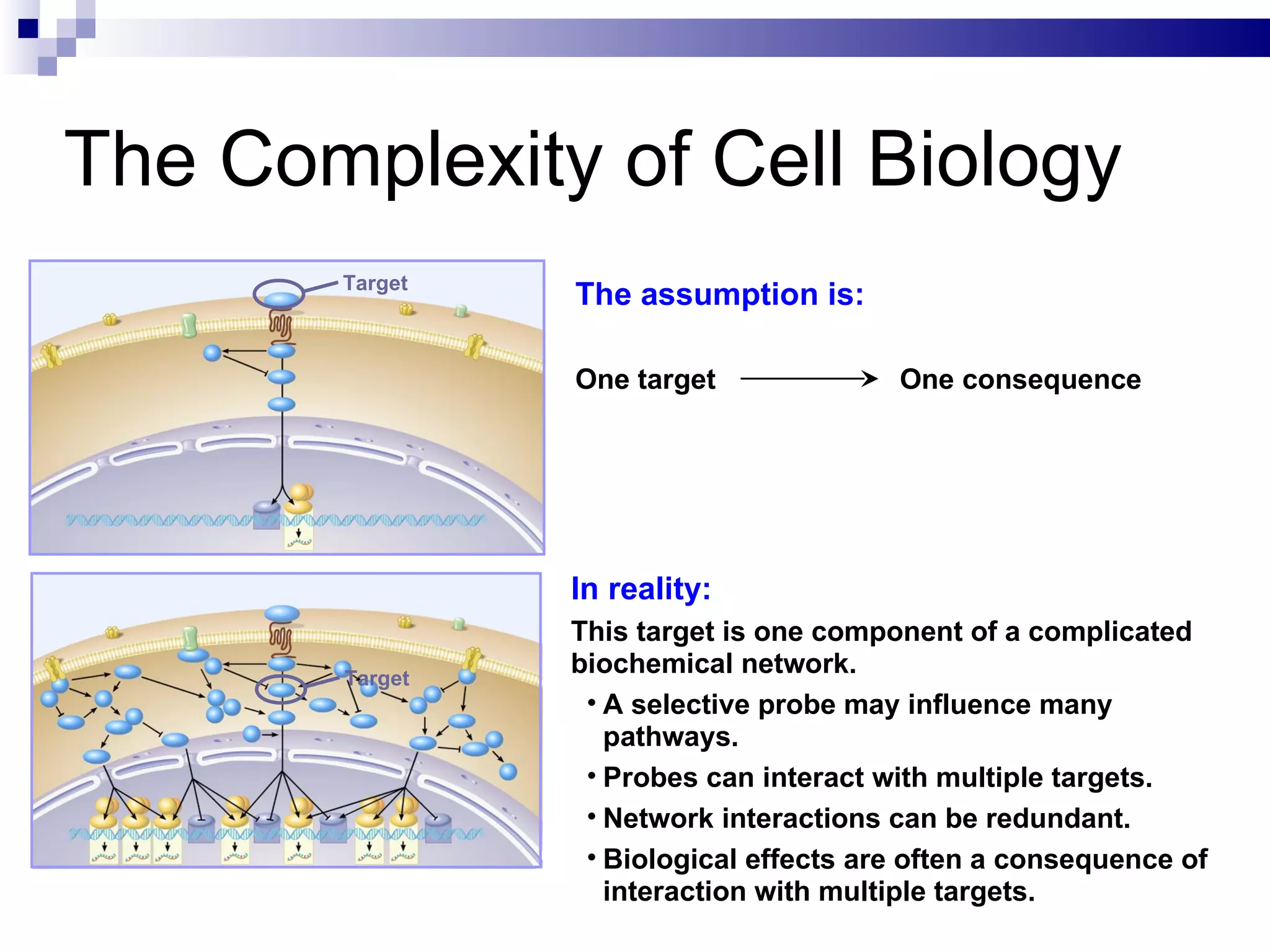 The Complexity of Cell Biology The assumption is: One target    One consequence Target In reality: This target is one component of a complicated biochemical network.  A selective probe may influence many pathways. Probes can interact with multiple targets. Network interactions can be redundant.  Biological effects are often a consequence of interaction with multiple targets.  Target 