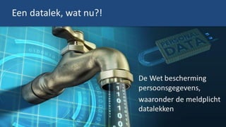 Van de Ven Academy - buiten de lijntjes