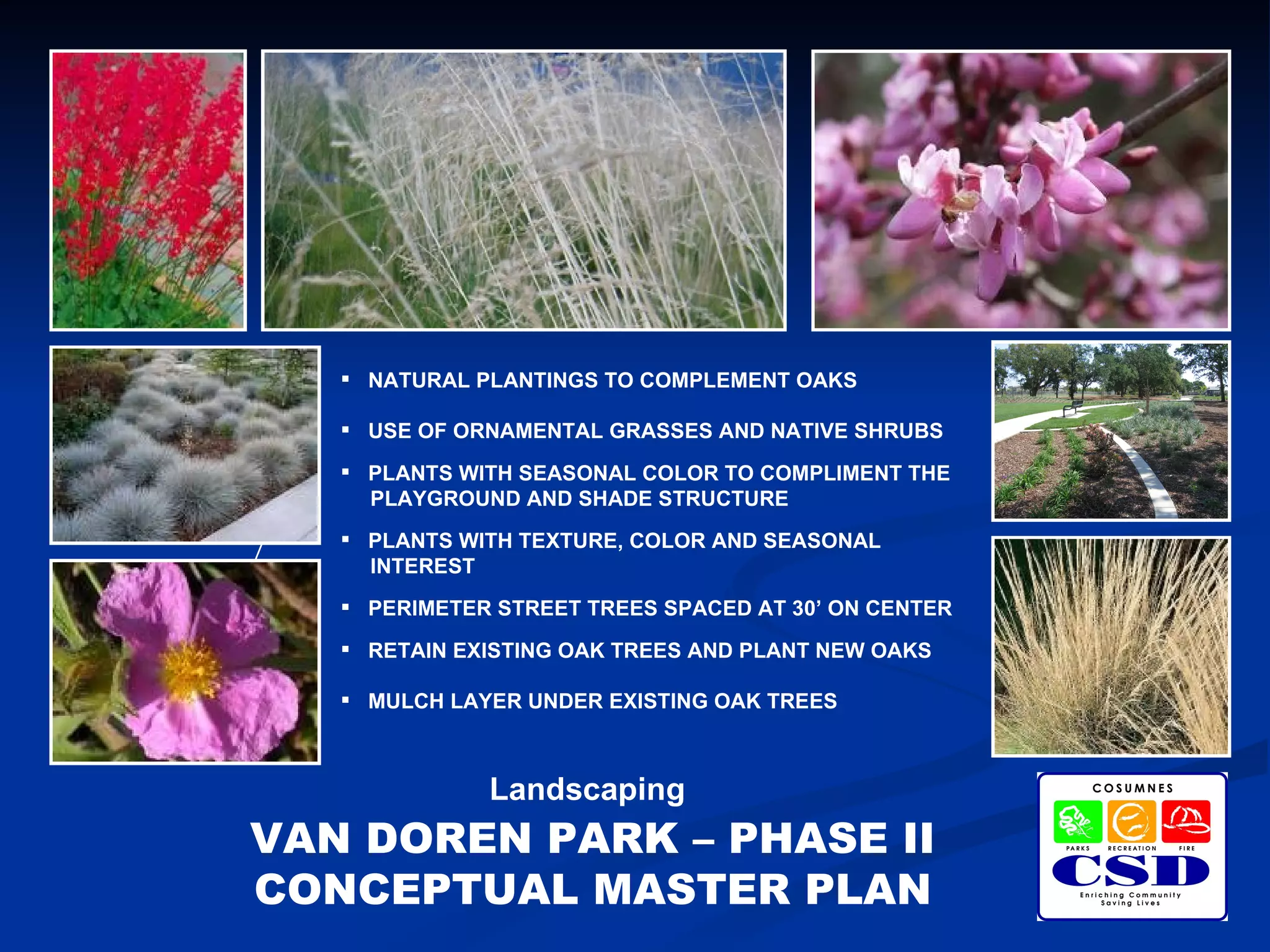 Cosumnes CSD - Van Doren Park - Phase II - Conceptual Master Plan