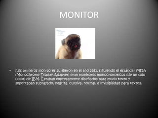 MONITOR




•   Los primeros monitores surgieron en el año 1981, siguiendo el estándar MDA
    (Monochrome Display Adapter) eran monitores monocromáticos (de un solo
    color) de IBM. Estaban expresamente diseñados para modo texto y
    soportaban subrayado, negrita, cursiva, normal, e invisibilidad para textos.
 