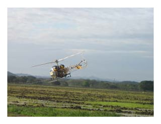 Vaneamiento arroz panama