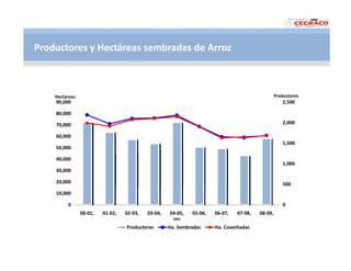 Vaneamiento arroz panama