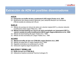 Vaneamiento arroz panama