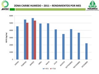 Vaneamiento del arroz en colombia