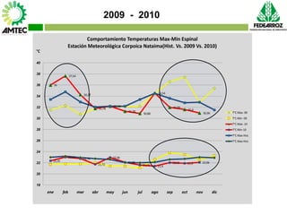 Vaneamiento del arroz en colombia