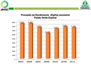 Vaneamiento del arroz en colombia