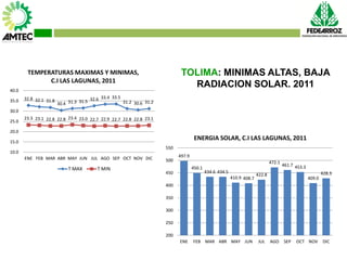 Vaneamiento del arroz en colombia