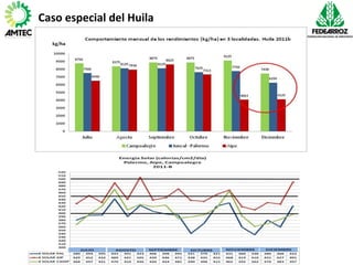 Vaneamiento del arroz en colombia