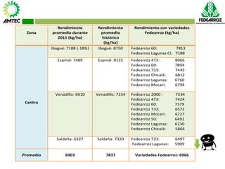 Vaneamiento del arroz en colombia