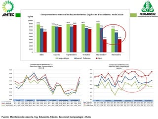 Vaneamiento del arroz en colombia