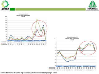 Vaneamiento del arroz en colombia