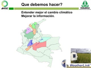 Vaneamiento del arroz en colombia