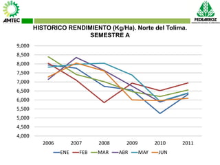 Vaneamiento del arroz en colombia