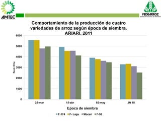 Vaneamiento del arroz en colombia
