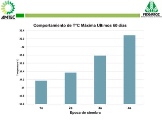 Vaneamiento del arroz en colombia