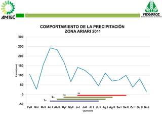 Vaneamiento del arroz en colombia