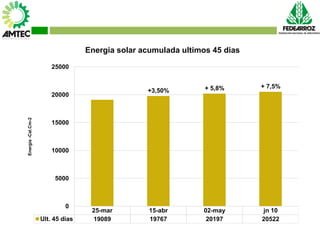 Vaneamiento del arroz en colombia