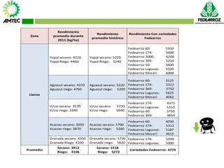 Vaneamiento del arroz en colombia