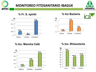 Vaneamiento del arroz en colombia