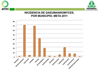 Vaneamiento del arroz en colombia