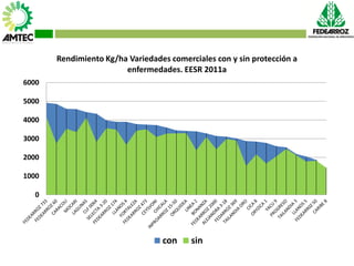 Vaneamiento del arroz en colombia