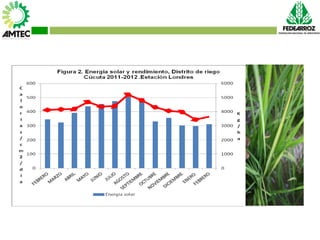 Vaneamiento del arroz en colombia
