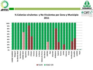 Vaneamiento del arroz en colombia