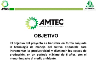 Vaneamiento del arroz en colombia