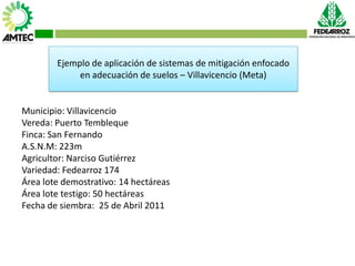 Vaneamiento del arroz en colombia