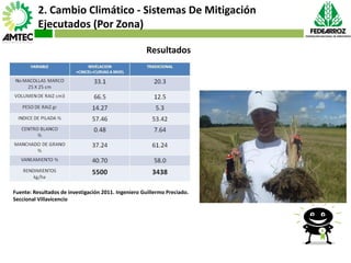 Vaneamiento del arroz en colombia