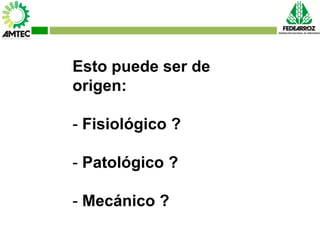 Vaneamiento del arroz en colombia