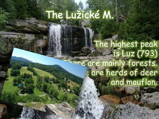 The highest peak
             is Luz (793)
There are mainly forests.
 There are herds of deer
            and mouflon.
 