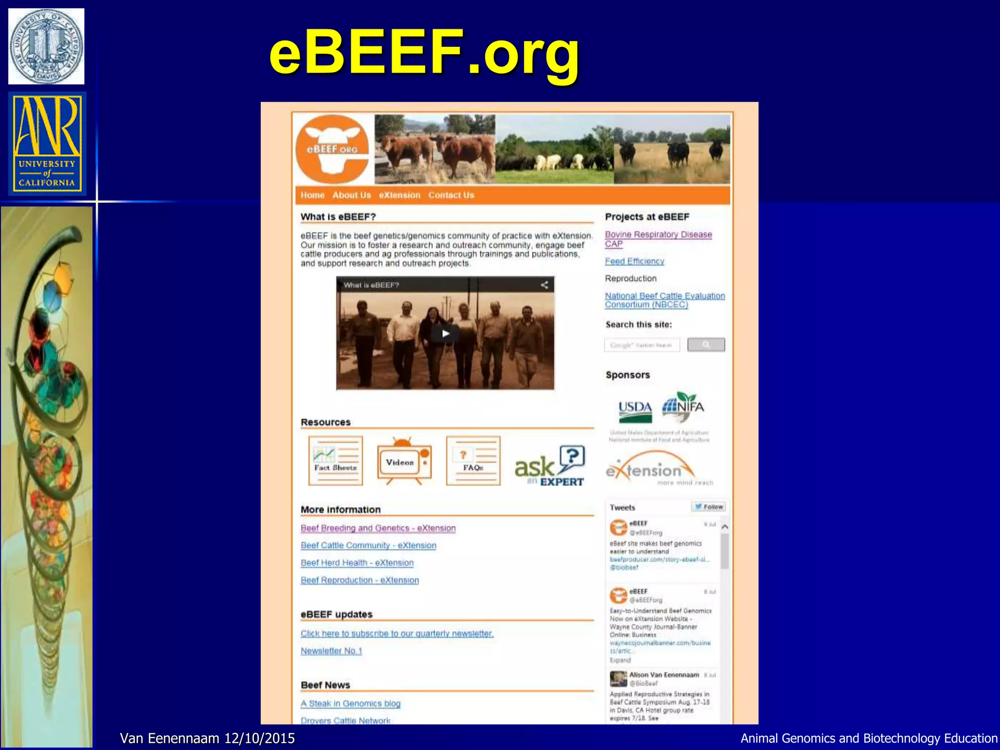 eBEEF.org
Animal Genomics and Biotechnology EducationVan Eenennaam 12/10/2015
 