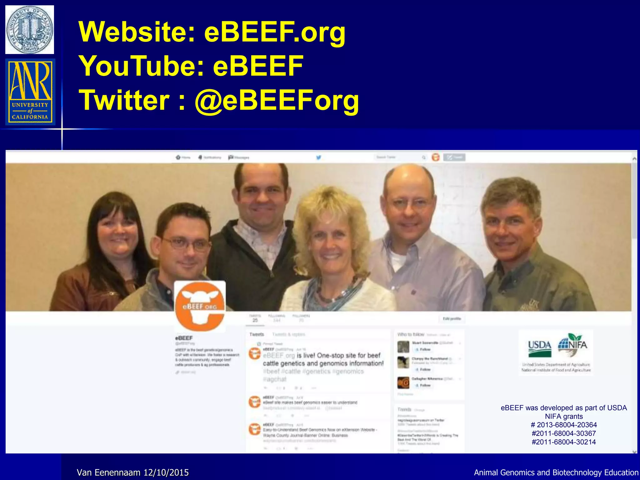 Website: eBEEF.org
YouTube: eBEEF
Twitter : @eBEEForg
Animal Genomics and Biotechnology EducationVan Eenennaam 12/10/2015
eBEEF was developed as part of USDA
NIFA grants
# 2013-68004-20364
#2011-68004-30367
#2011-68004-30214
 
