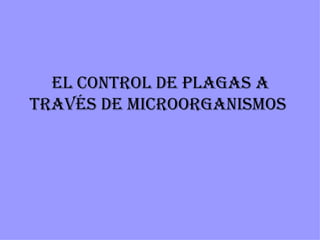EL CONTROL DE PLAGAS A
TRAVÉS DE MICROORGANISMOS
 