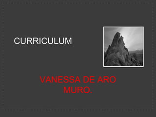 Curriculum VANESSA DE ARO MURO. 