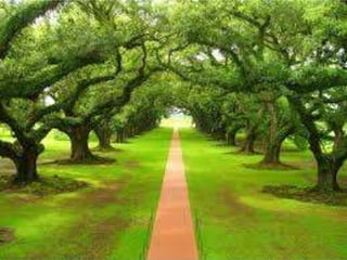 Vanessa 13 geraldine 42