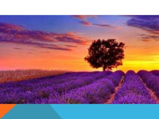 Vanessa 13 geraldine 42