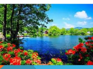 Vanessa 13 geraldine 42