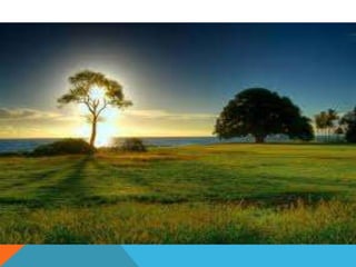 Vanessa 13 geraldine 42