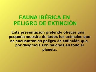 FAUNA IBÉRICA EN
PELIGRO DE EXTINCIÓN
Esta presentación pretende ofrecer una
pequeña muestra de todos los animales que
se encuentran en peligro de extinción que,
por desgracia son muchos en todo el
planeta.

 