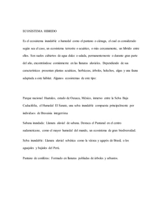 ECOSISTEMA HIBRIDO
Es el ecosistema inundable o humedal como el pantano o ciénaga, el cual es considerado
según sea el caso, un ecosistema terrestre o acuático, o más cercanamente, un híbrido entre
ellos. Son suelos cubiertos de agua dulce o salada, permanentemente o durante gran parte
del año, encontrándose comúnmente en las llanuras aluviales. Dependiendo de sus
características presentan plantas acuáticas, herbáceas, árboles, helechos, algas y una fauna
adaptada a este hábitat. Algunos ecosistemas de este tipo:
Parque nacional Huatulco, estado de Oaxaca, México, inmerso entre la Selva Baja
Caducifolia, el Humedal El Sanate, una selva inundable compuesta principalmente por
individuos de Bravaisia integerrima
Sabana inundada: Llanura aluvial de sabana. Destaca el Pantanal en el centro
sudamericano, como el mayor humedal del mundo, un ecosistema de gran biodiversidad.
Selva inundable: Llanura aluvial selvática como la várzea y agapós de Brasil, o los
aguajales y bajiales del Perú.
Pantano de coníferas: Formado en llanuras pobladas de árboles y arbustos.
 