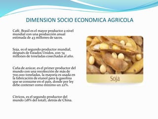 DIMENSION SOCIO ECONOMICA AGRICOLA
Café, Brasil es el mayor productor a nivel
mundial con una producción anual
estimada de 43 millones de sacos.
Soja, es el segundo productor mundial,
después de Estados Unidos, con 74
millones de toneladas cosechadas al año.
Caña de azúcar, es el primer productor del
mundo con una recolección de más de
700.000 toneladas, la mayoría es usada en
la fabricación de etanol para la gasolina
que se consume en el país, donde por ley
debe contener como mínimo un 22%.
Cítricos, es el segundo productor del
mundo (18% del total), detrás de China.
 