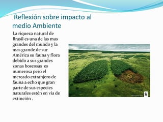 Reflexión sobre impacto al
medio Ambiente
La riqueza natural de
Brasil es una de las mas
grandes del mundo y la
mas grande de sur
América su fauna y flora
debido a sus grandes
zonas boscosas es
numerosa pero el
mercado extranjero de
fauna a echo que gran
parte de sus especies
naturales estén en vía de
extinción .
 